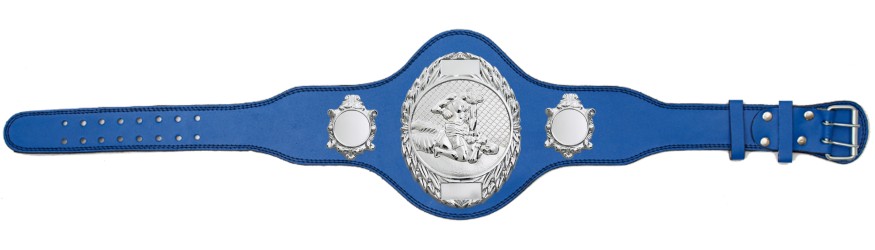 MMA CHAMPIONSHIP BELT-PLT286/S/MMAS-4 COLOURS MMA CHAMPIONSHIP BELT-PLT286/S/MMAS-4 COLOURS